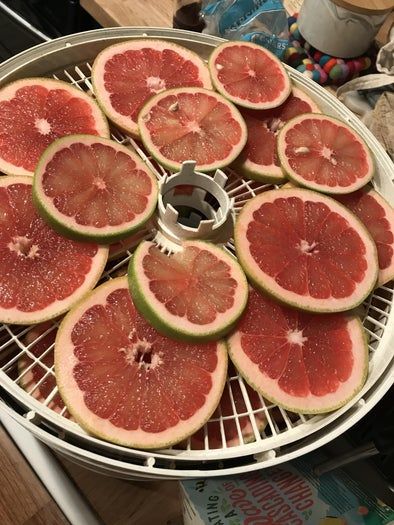 零成本废物利用圣诞树教程-第11张图片-趣作屋 零成本废物利用圣诞树教程-第11张图片-趣作屋