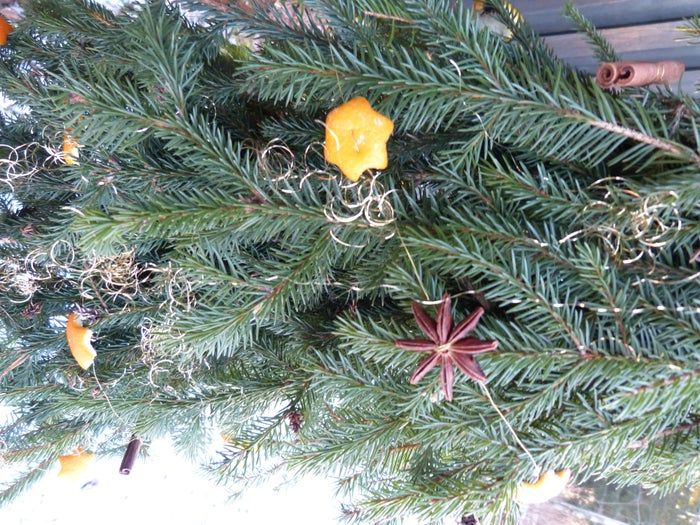 简易环保风圣诞树与挂饰DIY教程-第34张图片-趣作屋 简易环保风圣诞树与挂饰DIY教程-第34张图片-趣作屋