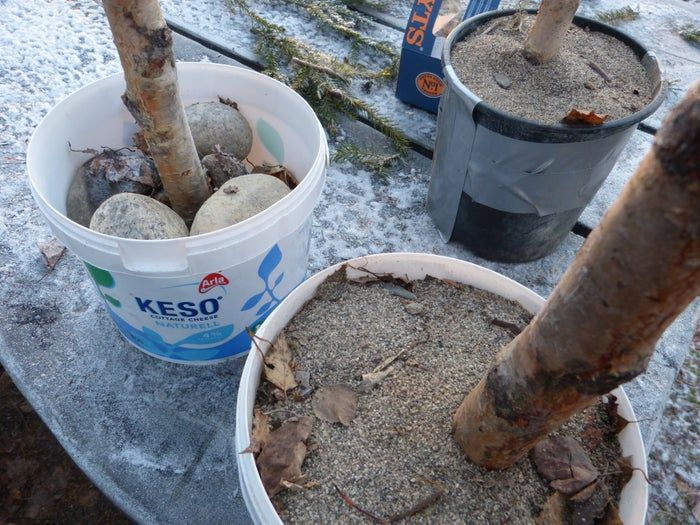 简易环保风圣诞树与挂饰DIY教程-第10张图片-趣作屋 简易环保风圣诞树与挂饰DIY教程-第10张图片-趣作屋