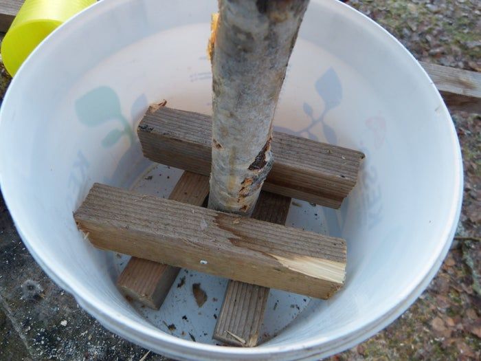 简易环保风圣诞树与挂饰DIY教程-第8张图片-趣作屋 简易环保风圣诞树与挂饰DIY教程-第8张图片-趣作屋