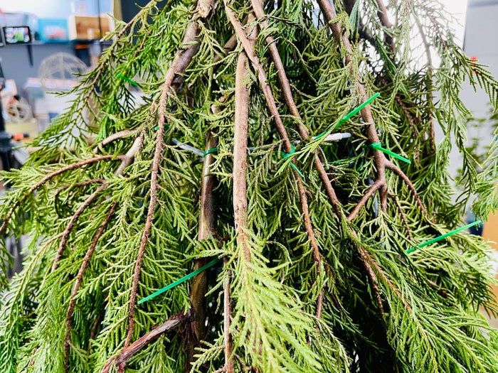 轻松制作梦幻圣诞小矮人手工教程-第9张图片-趣作屋 轻松制作梦幻圣诞小矮人手工教程-第9张图片-趣作屋