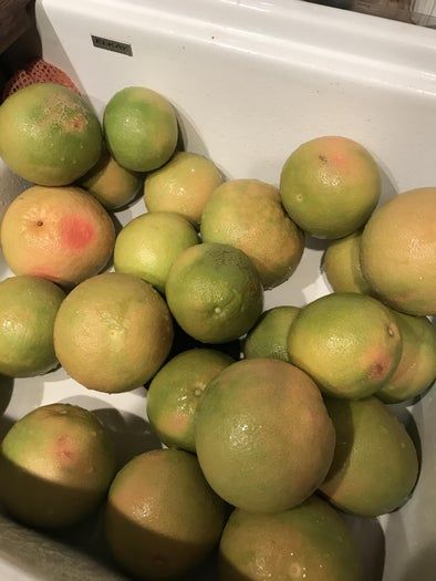 零成本废物利用圣诞树教程-第4张图片-趣作屋 零成本废物利用圣诞树教程-第4张图片-趣作屋