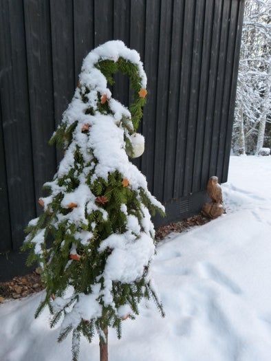简易环保风圣诞树与挂饰DIY教程-第4张图片-趣作屋 简易环保风圣诞树与挂饰DIY教程-第4张图片-趣作屋