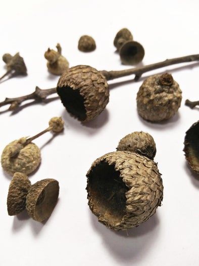 低成本微缩精灵小屋制作教程-回收材料DIY-第4张图片-趣作屋