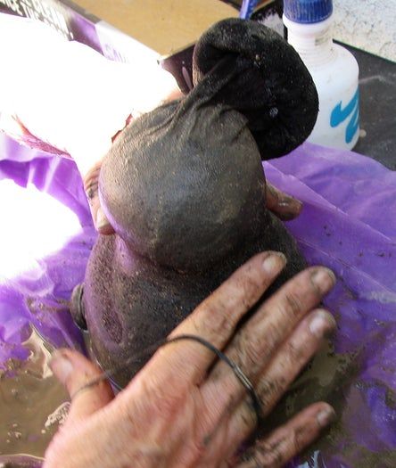 低成本水泥地精DIY教程-庭院装饰手作指南-第14张图片-趣作屋