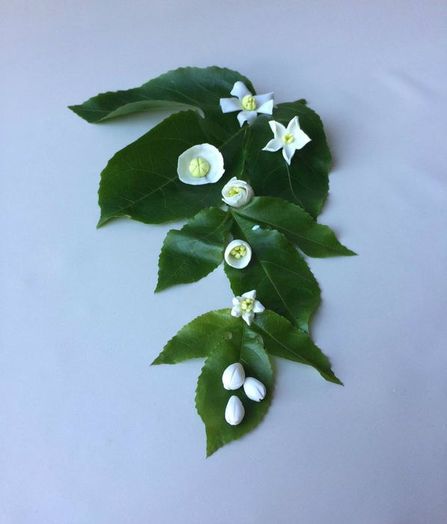 手工黏土花卉制作教程：创意家居装饰与饰品DIY-第28张图片-趣作屋