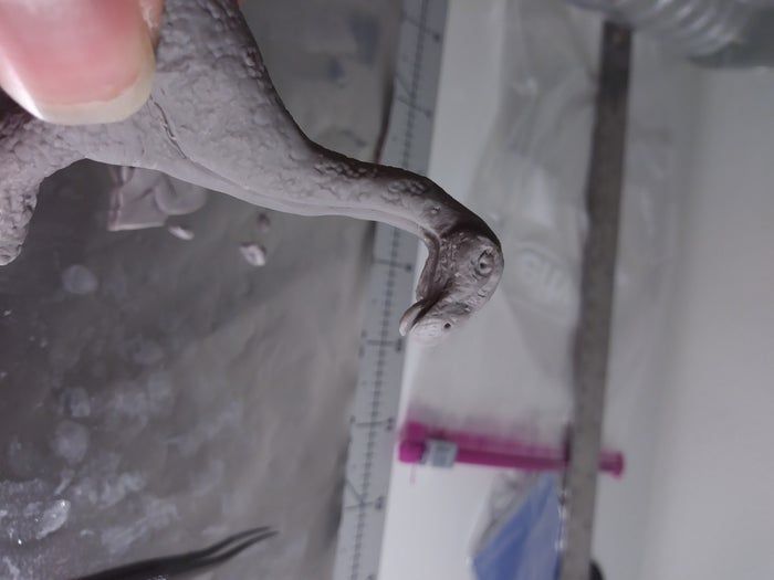 高精度微型恐龙模型制作全攻略-第3张图片-趣作屋