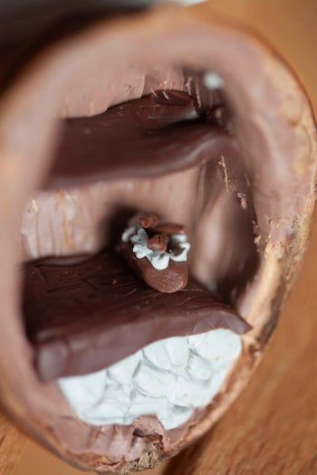 用核桃制作海蒂与祖父的微缩小屋教程——详细步骤与材料清单-第12张图片-趣作屋