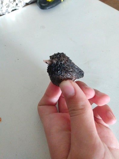 创意缝叶莺鸟巢手工制作教程-第22张图片-趣作屋