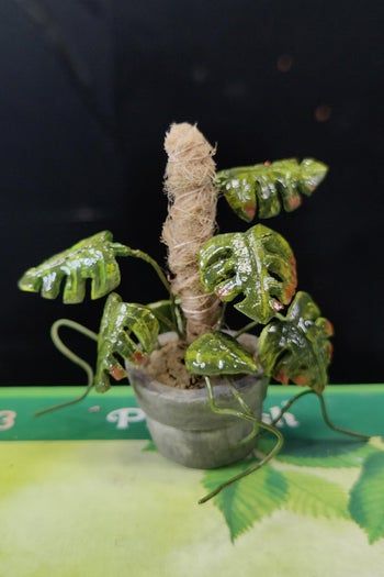 陶土制作微型室内植物教程-复刻龟背竹海芋步骤-第7张图片-趣作屋