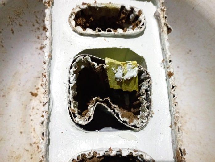 白水泥DIY牙刷架制作教程-家庭手工模具教程-第20张图片-趣作屋