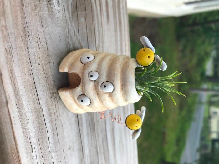 聚合物粘土手作蜂巢花器教程：空气凤梨支架DIY全攻略-第1张图片-趣作屋