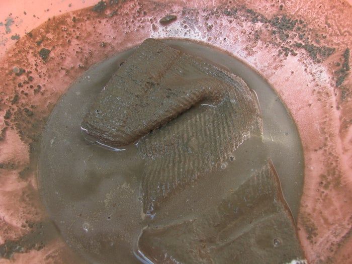 低成本水泥地精DIY教程-庭院装饰手作指南-第22张图片-趣作屋