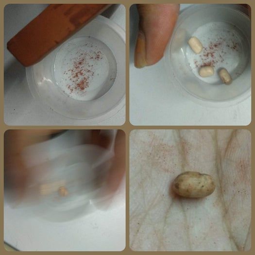 手作迷你炖菜板教程:聚合物粘土蔬菜制作全攻略-第5张图片-趣作屋 手作迷你炖菜板教程:聚合物粘土蔬菜制作全攻略-第5张图片-趣作屋