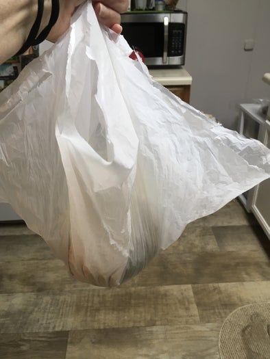 自制纸浆雕塑黏土配方对比与藤壶制作教程-第15张图片-趣作屋