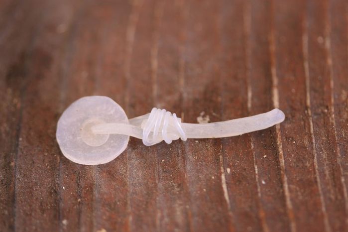 磁吸式迷你披萨DIY教程——家庭手工制作指南-第16张图片-趣作屋 磁吸式迷你披萨DIY教程——家庭手工制作指南-第16张图片-趣作屋