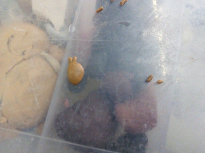 哈利波特嗅嗅挂坠手工制作教程-第18张图片-趣作屋