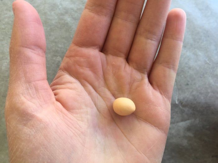 自制迷你披萨吊饰教程-友情项链DIY指南-第11张图片-趣作屋 自制迷你披萨吊饰教程-友情项链DIY指南-第11张图片-趣作屋