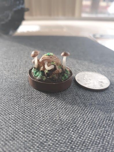 扭蛋机胶囊DIY:微型生态瓶立体场景制作教程-第4张图片-趣作屋 扭蛋机胶囊DIY:微型生态瓶立体场景制作教程-第4张图片-趣作屋