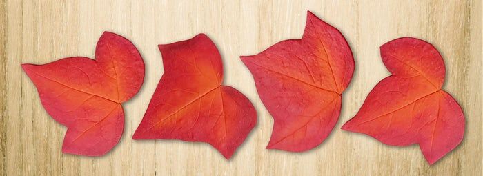 红叶软陶杯垫制作教程-详细步骤与材料清单-第21张图片-趣作屋 红叶软陶杯垫制作教程-详细步骤与材料清单-第21张图片-趣作屋