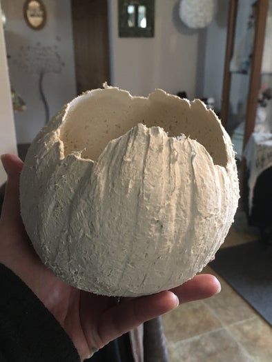 自制纸浆雕塑黏土配方对比与藤壶制作教程-第21张图片-趣作屋