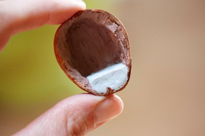 用核桃制作海蒂与祖父的微缩小屋教程——详细步骤与材料清单-第5张图片-趣作屋