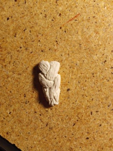 陶土手工制作花园地精教程-三种风格全攻略-第26张图片-趣作屋 陶土手工制作花园地精教程-三种风格全攻略-第26张图片-趣作屋