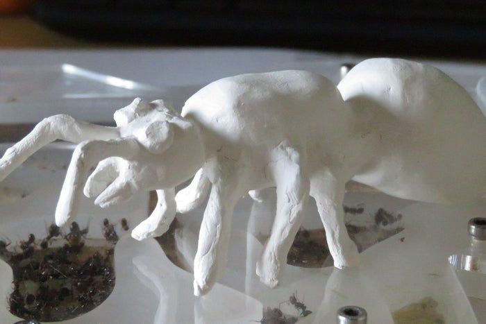 DIY巨型黏土蚂蚁模型制作教程-第2张图片-趣作屋 DIY巨型黏土蚂蚁模型制作教程-第2张图片-趣作屋