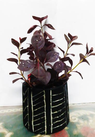 低成本混凝土花盆DIY教程:艺术与园艺的完美结合-第22张图片-趣作屋 低成本混凝土花盆DIY教程:艺术与园艺的完美结合-第22张图片-趣作屋