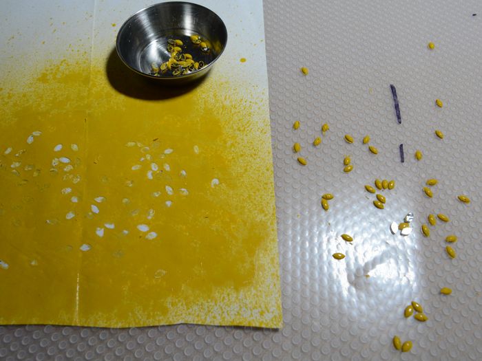 草莓造型花盆手工制作教程:风干黏土DIY创意容器-第33张图片-趣作屋 草莓造型花盆手工制作教程:风干黏土DIY创意容器-第33张图片-趣作屋