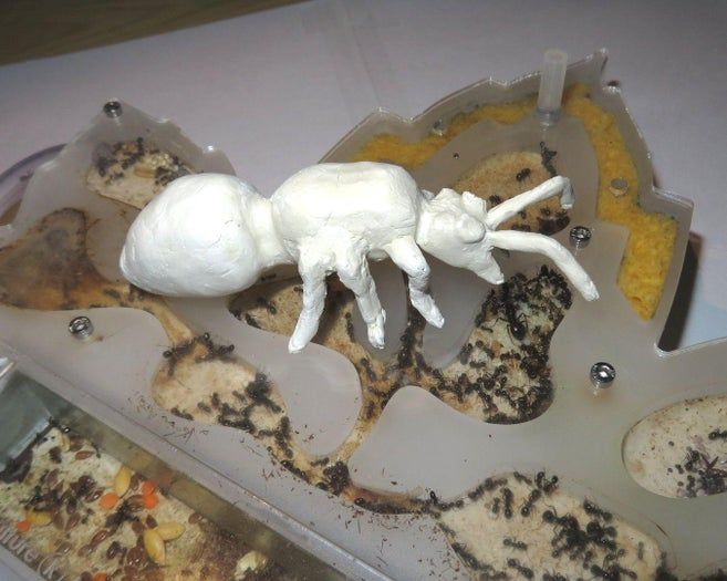 DIY巨型黏土蚂蚁模型制作教程-第1张图片-趣作屋 DIY巨型黏土蚂蚁模型制作教程-第1张图片-趣作屋