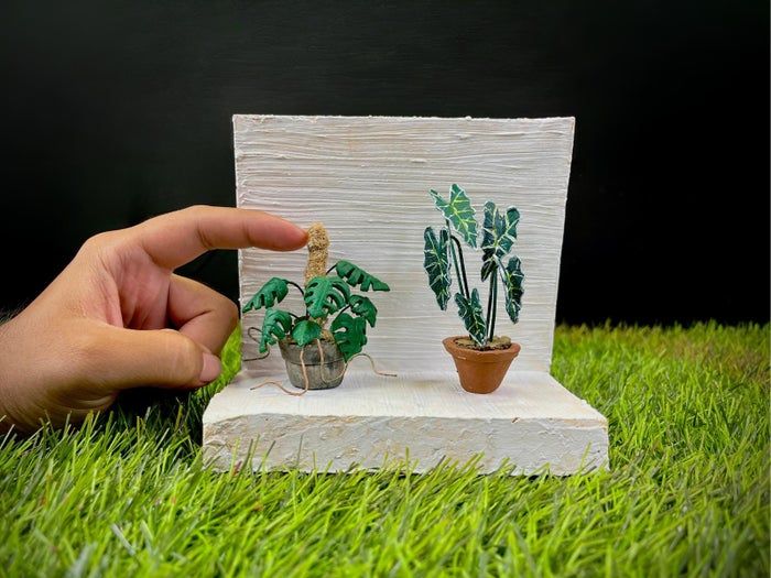 陶土制作微型室内植物教程-复刻龟背竹海芋步骤-第10张图片-趣作屋