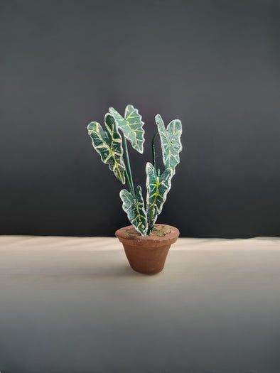 陶土制作微型室内植物教程-复刻龟背竹海芋步骤-第3张图片-趣作屋