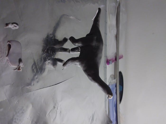 高精度微型恐龙模型制作全攻略-第12张图片-趣作屋