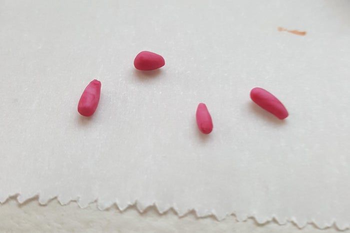 软陶手工制作微型多肉植物教程-第5张图片-趣作屋