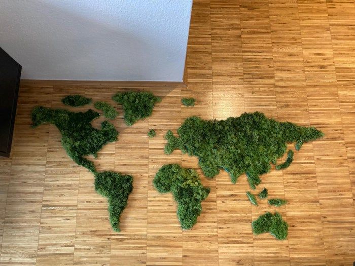 低成本DIY苔藓世界地图墙教程-第7张图片-趣作屋