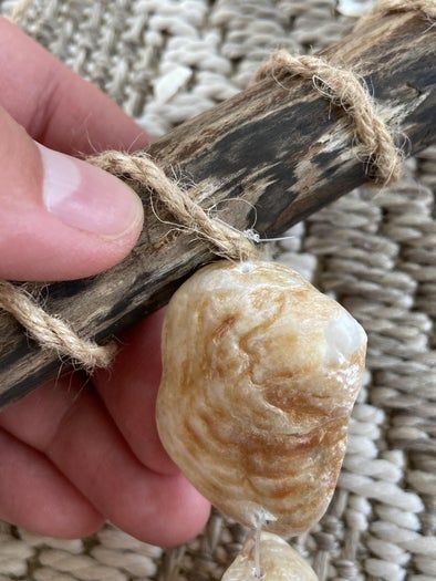 海边贝壳手工挂饰制作教程,轻松打造独特墙面装饰-第16张图片-趣作屋 海边贝壳手工挂饰制作教程,轻松打造独特墙面装饰-第16张图片-趣作屋