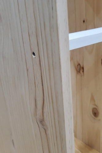 13岁也能搞定的浴室置物架DIY，省钱又实用-第20张图片-趣作屋