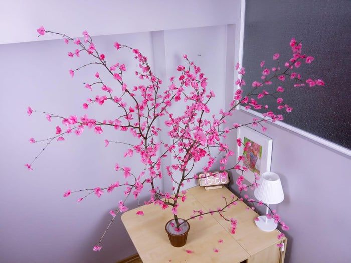 低成本DIY樱花树装饰制作教程-第1张图片-趣作屋