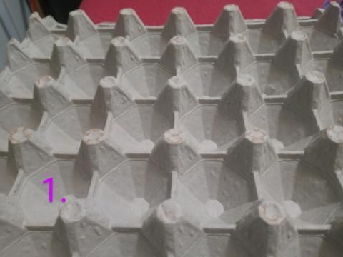 废旧鸡蛋托变创意灯罩，低成本DIY装饰教程-第5张图片-趣作屋