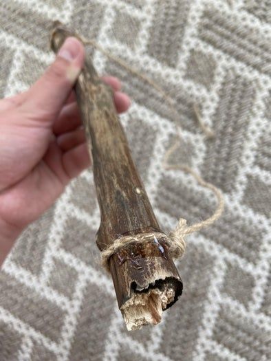 海边贝壳手工挂饰制作教程,轻松打造独特墙面装饰-第15张图片-趣作屋 海边贝壳手工挂饰制作教程,轻松打造独特墙面装饰-第15张图片-趣作屋