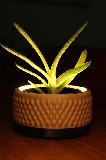 DIY灯光花盆教程：给绿植加个LED小夜灯-第2张图片-趣作屋
