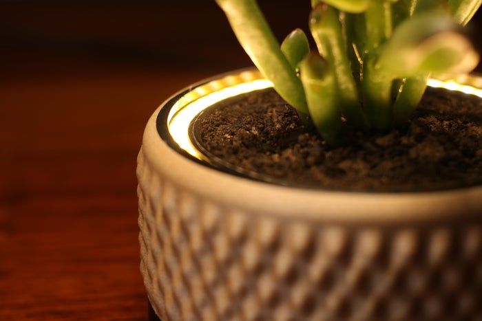 DIY灯光花盆教程：给绿植加个LED小夜灯-第11张图片-趣作屋