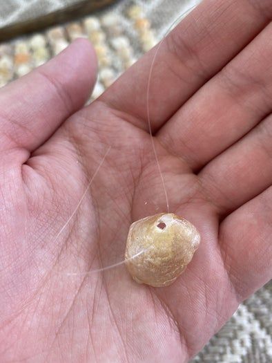 海边贝壳手工挂饰制作教程,轻松打造独特墙面装饰-第11张图片-趣作屋 海边贝壳手工挂饰制作教程,轻松打造独特墙面装饰-第11张图片-趣作屋