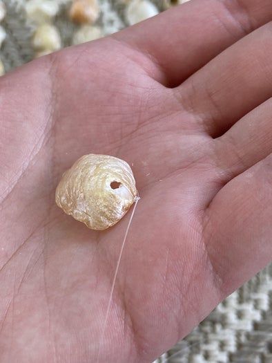 海边贝壳手工挂饰制作教程,轻松打造独特墙面装饰-第10张图片-趣作屋 海边贝壳手工挂饰制作教程,轻松打造独特墙面装饰-第10张图片-趣作屋