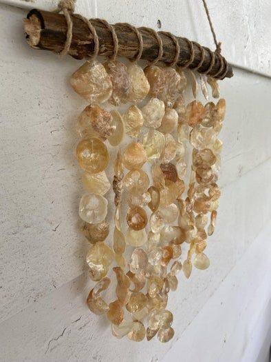海边贝壳手工挂饰制作教程,轻松打造独特墙面装饰-第2张图片-趣作屋 海边贝壳手工挂饰制作教程,轻松打造独特墙面装饰-第2张图片-趣作屋