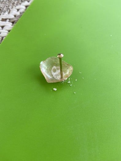 海边贝壳手工挂饰制作教程,轻松打造独特墙面装饰-第9张图片-趣作屋 海边贝壳手工挂饰制作教程,轻松打造独特墙面装饰-第9张图片-趣作屋