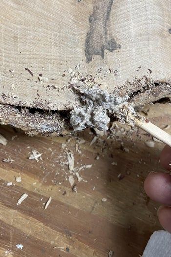 用枫木圆盘手工制作挂墙钟的完整教程-第4张图片-趣作屋