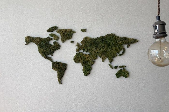 低成本DIY苔藓世界地图墙教程-第8张图片-趣作屋