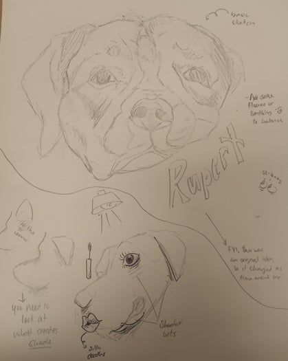 零基础刺绣教程:如何用彩色线制作比格犬肖像-第4张图片-趣作屋 零基础刺绣教程:如何用彩色线制作比格犬肖像-第4张图片-趣作屋